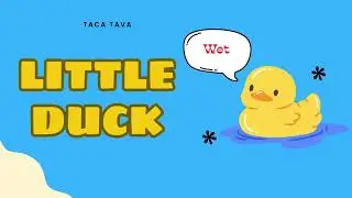 ✨ Little Duck 🦆 Learn & Play with Quack, Swim, Splash, Wet! 🦆 Super Simple Song | TACA TAVA ✨