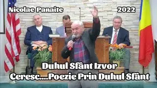 Duhul Sfânt Izvor Ceresc.....Poezie Rin Duhul Sfânt...Nicolae Panaite..2022