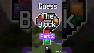 Guess the block challenge #shorts #minecraft