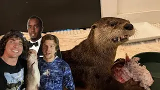 Рыбалка на речную выдру (при участии Diddy и @fishingarrett)