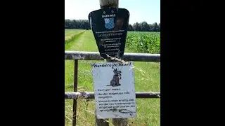 Route 'De Asterd' omgeving Heteren/Randwijk (04-07-2025) 2