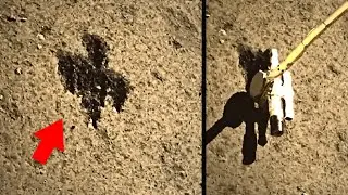 Lunar sample collection video. Chang'e 6 takes off from Moon surface for sample return