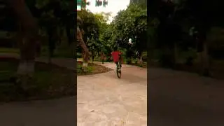 Cycel wheli stunt 😔 😃 😊 🔥 #stunt #cycler #youtube #automobile #stuntrider #cyclestunt