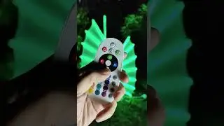 Remote Controller for DIY LED Lighting - Smart Bright LEDs
