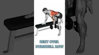 7 Mid Trap Exercises for a Stronger Back