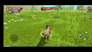 Wildcraft jogando com o felino lince🐆