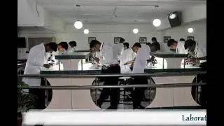 Transworld educare (david pilli)study MBBS in phillipines