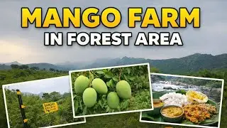 Deer Forest 🦌 -குள் Mango Farm 🌳🥭 | River Side Lunch | Tenkasi Village Vlog