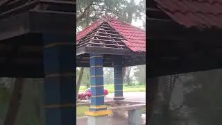 Top Monkey (Video short)