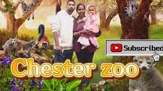 Chester zoo#travel#blog #familyvlog #uk #Fun#trip 