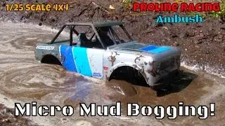 Micro RC Mud Bogging - Proline Racing 1/25 Ambush 4x4 Crawler