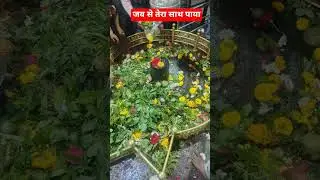 #viralvideo #hindutemple #youtubeshorts #viral #shorts#trendingshorts #travel #shivshankar #mandir