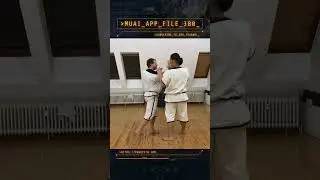 MUAI - Tech Application File 380 (Berlin, 2017) #Pahuyuth #Muai #Martialarts
