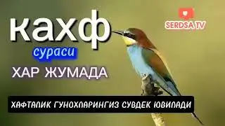 ЖУМА КУНИДА КАХФ СУРАСИНИ ТИНГЛАНГ ИККИ ЖУМА ОРАСИДАГИ ГУНОХЛАР КЕЧИРИЛАДИ.