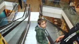 Dj laki ! timocka krajna