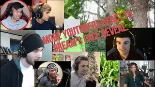 More Youtubers react to Dream's face reveal Pt 2 - Mr Beast's Youtube Rewind.