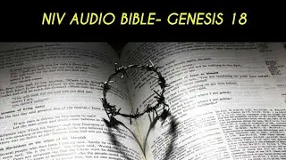 GENESIS 18 NIV AUDIO BIBLE (with text)