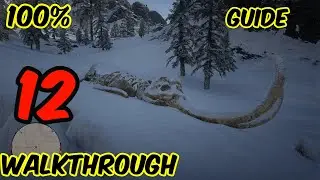 RDR2 Walkthrough 100% completion guide, no commentary , part 12
