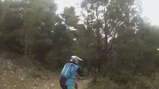 roz 2 thedp antonis sensor
