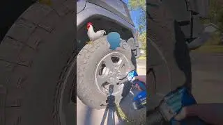 У Kobalt появился новый компактный ударный гайковерт. #tooladdict #powertools
