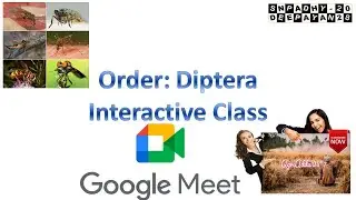 Order Diptera Google Meet Interactive Class