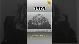 Man eater tigress of Champawat | Jim corbett #factsinhindi #shorts #youtubeshorts