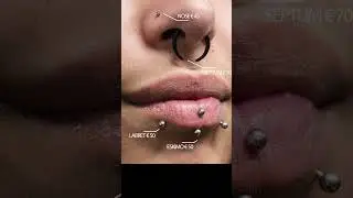 Vertical Lip PiercingWhy it's not a simple detail - Piercings Works Amsterdam