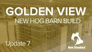 The Golden View Hog Barn - Farrowing Room Tour - Update 7