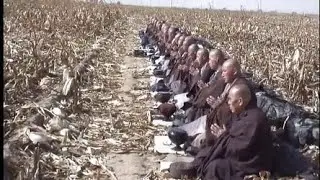 感人纪录片《古道清凉》&mdash;&mdash;辽宁大悲寺僧团托钵行脚纪实