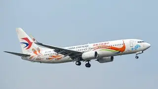 President Xi orders emergency response and investigation into Boeing 737 crash