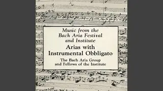 Cantata 146: Duet for Tenor, Bass, and Orchestra: Wie will ich mich freuen