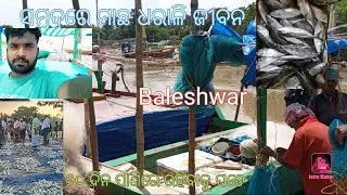 from Baleshwar, Odisha ! Fishing vibes are🐟🐟 strong with boats, nets, and a bunch of fish. There's