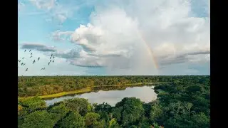 PROCUENCA VIDEO INAUGURAL