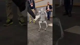Advanced Robot Developed to Detect Bomb Threats