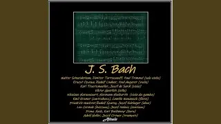 Brandenburg Concerto 4 in G Major, BWV 1049: II. Andante