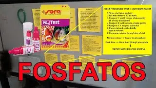 Cómo hacer el test de fosfatos Sera GmbH en acuarios, piletas y estanques