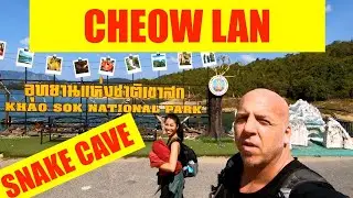 CHEOW LAN | SNAKE CAVE