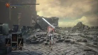 Dark Souls 3 - Stray Demon