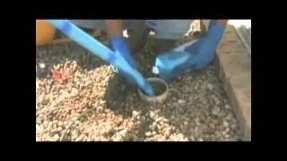 NuFlow Pipe Relining Technology mp4