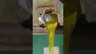 National Honey Month 2025 🍯