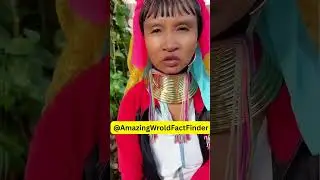 Reality of Long Neck Women Tribe // Giraffe Tribe