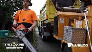 TREE KING Arborists | LUBECO Bio-lubricants