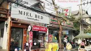 MIEL BED Hostel & Gallery | Chiang Mai, Thailand | Hotel Review 🏩