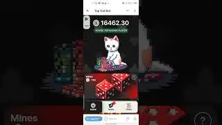 How To Mine Tap Cat Bot And Earn A Token.