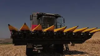 ZIEGLER HARVESTING - CORN CHAMPION / CORN MASTER (Maispfl&uuml;cker / Corn header) (NEW ab/from 2024)