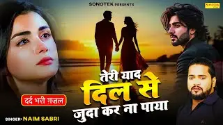 तेरी याद दिल से जुदा कर ना पाया - दर्द भरी ग़ज़ल - Naim Sabri - New Sad Ghazal 2025 - Sonotek Gazal