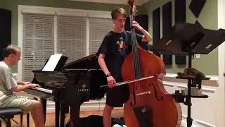 Vivaldi Cello Sonata No. 5 for Double Bass and Piano