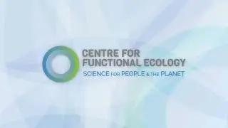 Centre for Functional Ecology | Promotional video