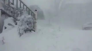 Winter Storm fatalities and thousands without power due to bitter cold