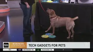 Tech Talk: Cool gadgets for family pets